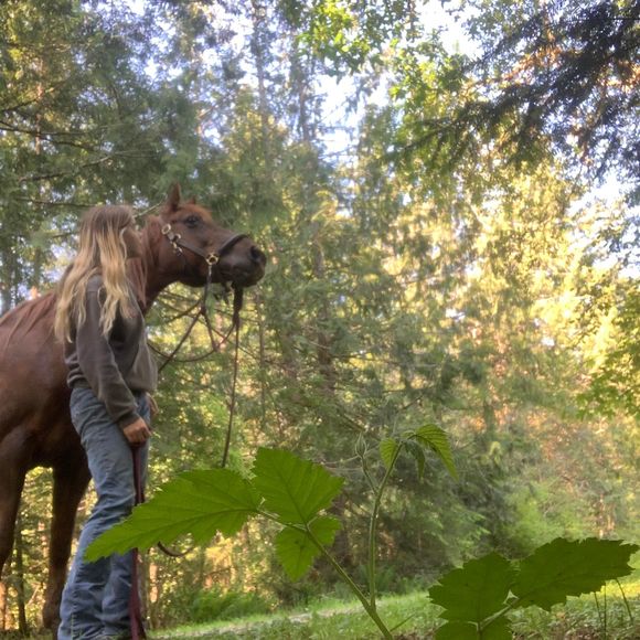 Profile Picture of Kallista Vandenbroek (@kdvandenbroek) on Poshmark