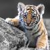 Profile Picture of Gary Huaman Chachayma (@gary.huamanchachayma.9) on Facebook