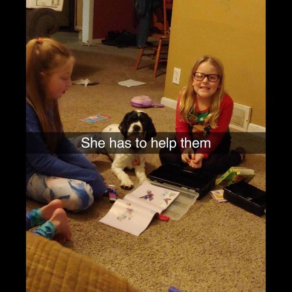 Profile Picture of Jordyn Neddermeyer (@jneddermeyer) on Poshmark