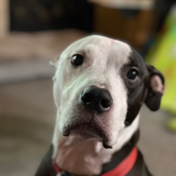 Profile Picture of Nathanael Corbin (@nc164328) on Poshmark