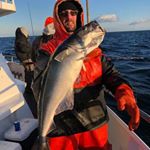 Tracy A Rothenberg - Instagram Profile Picture of Tracy A Rothenberg (@tracy.rothenberg) on Instagram