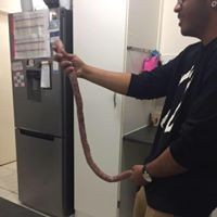 Profile Picture of Carlos Coelho (@carlos-coelho-21) on Quora