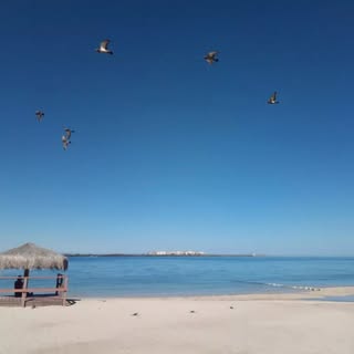 Profile Picture of Alix Alvarado (@alixalvarado1) on Instagram