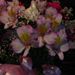 Profile Picture of Tonilyn Olvera Johnson (@olverajohnson) on Pinterest