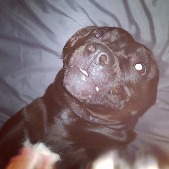 Profile Picture of Carter Waggett (@yeeter77) on Poshmark