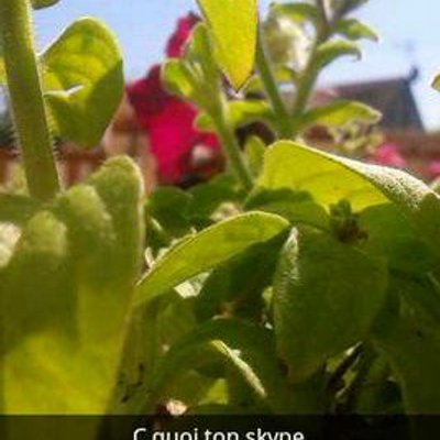 Profile Picture of Thomas Ruffin (@ruffin95) on Twitter