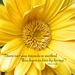 Profile Picture of Cheryl Robertson Heldman (@caheldman) on Pinterest