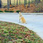 Profile Picture of Drew (@drew_minge) on Instagram