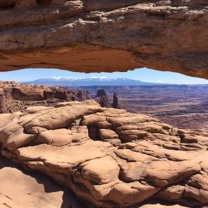 Profile Picture of Brendan Ridge (@ridge_brendan) on Twitter