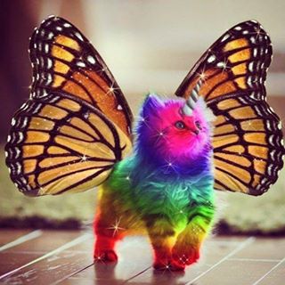 Profile Picture of Gisselle Vadillo (@gisselle.vadillo) on Facebook