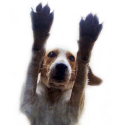 Profile Picture of Christian Peritore (@peritore) on Twitter