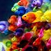 Profile Picture of Keith Fish (@keith.fish.3576) on Facebook