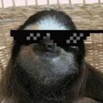 Profile Picture of Neddy Is The Best Pup Boi Ever (@adam_axtell) on Instagram