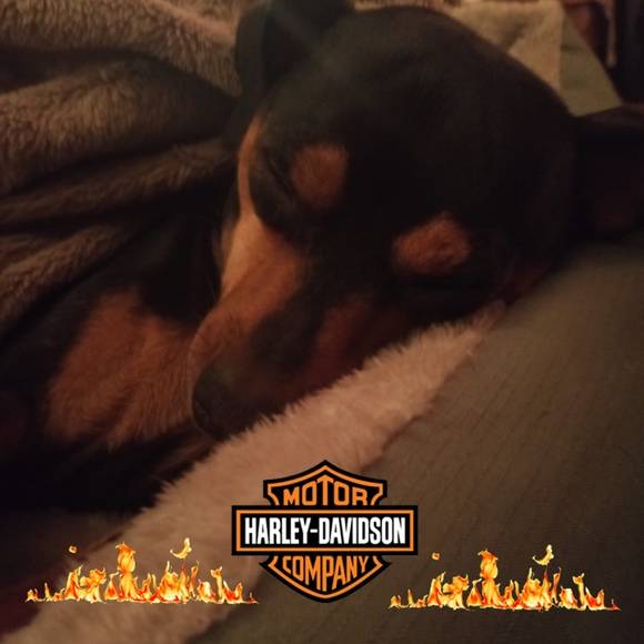 Profile Picture of Larry Barker (@larrybarker743) on Poshmark