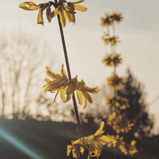 Profile Picture of Jason Rico (@Jason-Rico) on Facebook