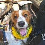 Profile Picture of Brian Grešík (@brian_gresik) on Instagram