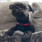 Profile Picture of Joseph Smith (@joemsmith) on Youtube