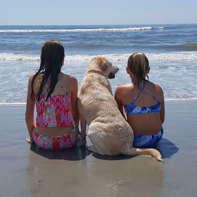 Profile Picture of Steve Heller (@42Heller) on Twitter