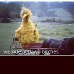 Profile Picture of Robert Brenner (@bike._.clips._) on Instagram