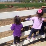 Profile Picture of Terianne Connolly (@terianneconnolly) on Instagram