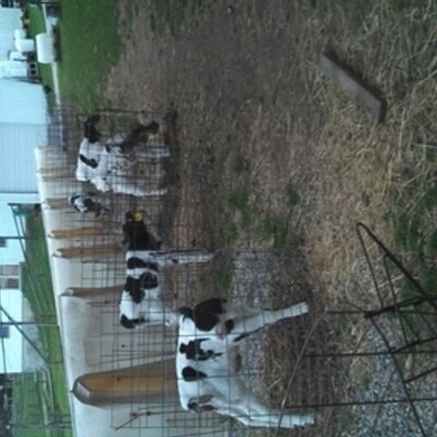 Profile Picture of Randy Meadows (@MeadowsRandy) on Twitter