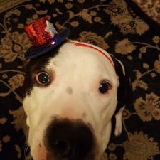 Profile Picture of Julia McClung (@JuliaBeingJulia) on Twitter