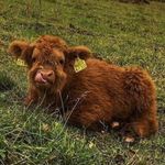 Profile Picture of Erika Shutts (@e.s.arte) on Instagram