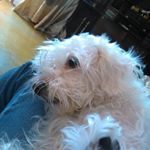 Profile Picture of danny market (@dqnny2marquez) on Instagram