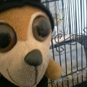 Profile Picture of Vicky Sanchez (@vickysanchez3306) on Youtube