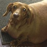 Profile Picture of Brett Coughlin (@brettman7755) on Instagram