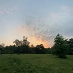 Profile Picture of Jakob Haskell (@Jakob-Haskell) on Facebook