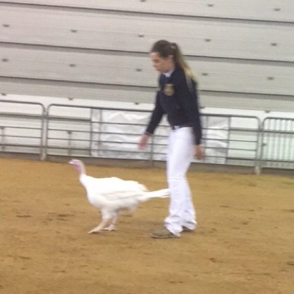 Profile Picture of Lane Ibbotson (@lanei1) on Poshmark