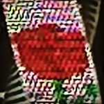 Profile Picture of Stanley Ring (@stanleyring15) on Instagram