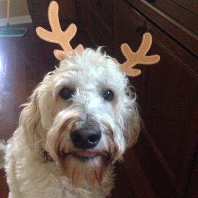 Profile Picture of Colleen Roach (@CollegeAppCoach) on Twitter