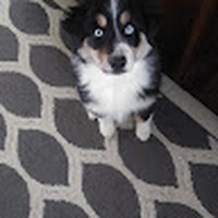 Profile Picture of Jeff Lapratt (@jeff-lapratt) on Quora