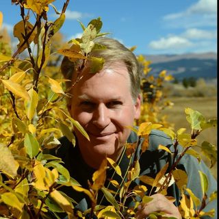 Profile Picture of Greg Clibon (@clibonart) on Instagram