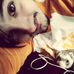 Profile Picture of Alvin Hannah (@alvin.hannah.5) on Facebook