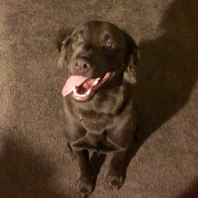 Profile Picture of Paul Tucker (@PaulTuck3r) on Twitter