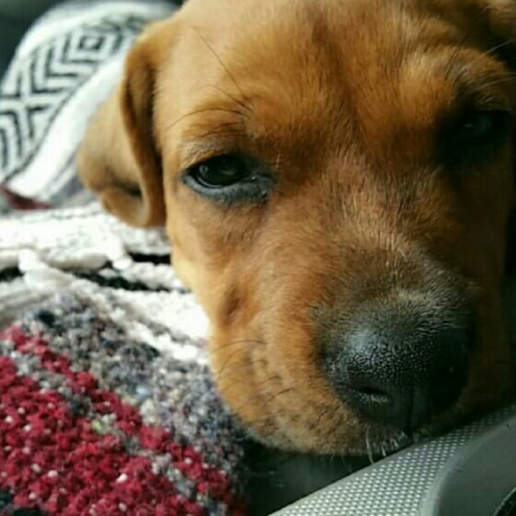 Profile Picture of Connor Huffman (@conhuffman) on Poshmark