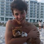 Profile Picture of Shawn Mendes (@oh.my.benito.backup) on Instagram