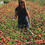 Profile Picture of Laura Nichols (@littleredminix) on Instagram