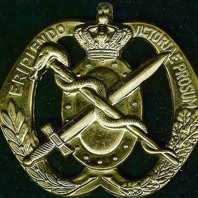 Profile Picture of Frans Van Leeuwen (@fransvanleeuwen) on Twitter