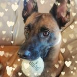 Profile Picture of Lise Côté (@lisecote1) on Instagram