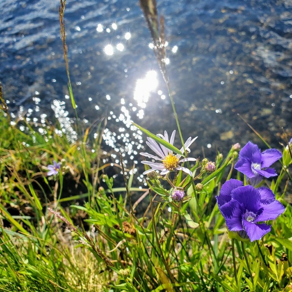 Profile Picture of Yingzhen Duan (@richelleduan) on Poshmark