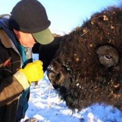 Profile Picture of Richard McMahan (@mcmahan_richard) on Twitter