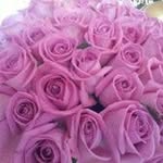 Profile Picture of 陳娟娟 (@juanjuanchen) on Instagram