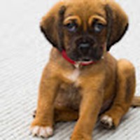 Profile Picture of Kolbie Davis (@kolbie-davis) on Quora