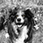 Profile Picture of Robert Brooks (@rburlaub) on Flickr