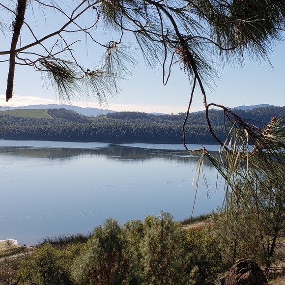 Profile Picture of Colleen Chappellet (@ccnapa) on Poshmark