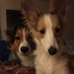 Profile Picture of Michell Hoover (@chell8412) on Instagram